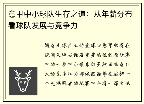 意甲中小球队生存之道：从年薪分布看球队发展与竞争力