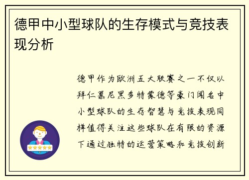 德甲中小型球队的生存模式与竞技表现分析