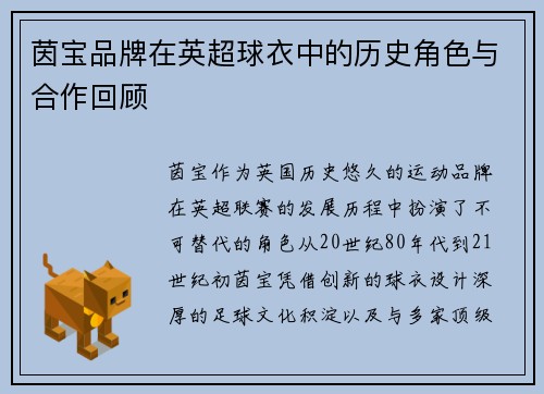 茵宝品牌在英超球衣中的历史角色与合作回顾