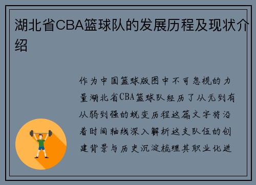 湖北省CBA篮球队的发展历程及现状介绍