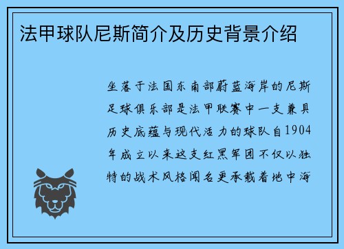 法甲球队尼斯简介及历史背景介绍