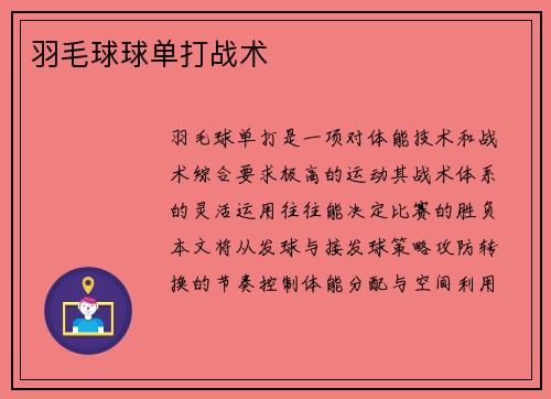 羽毛球球单打战术